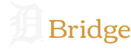 D-Bridge Logo